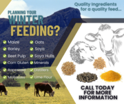 Quality Livestock Feeds